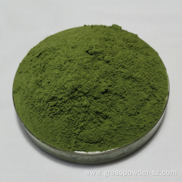 Natural high-quality Organic Wheat Grass Powder